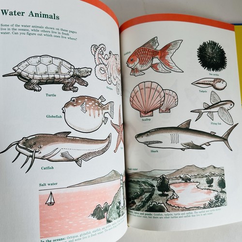 Time Life A Child's First Library of Learning 5 Hardcover Lot Science Education - Picture 21 of 22