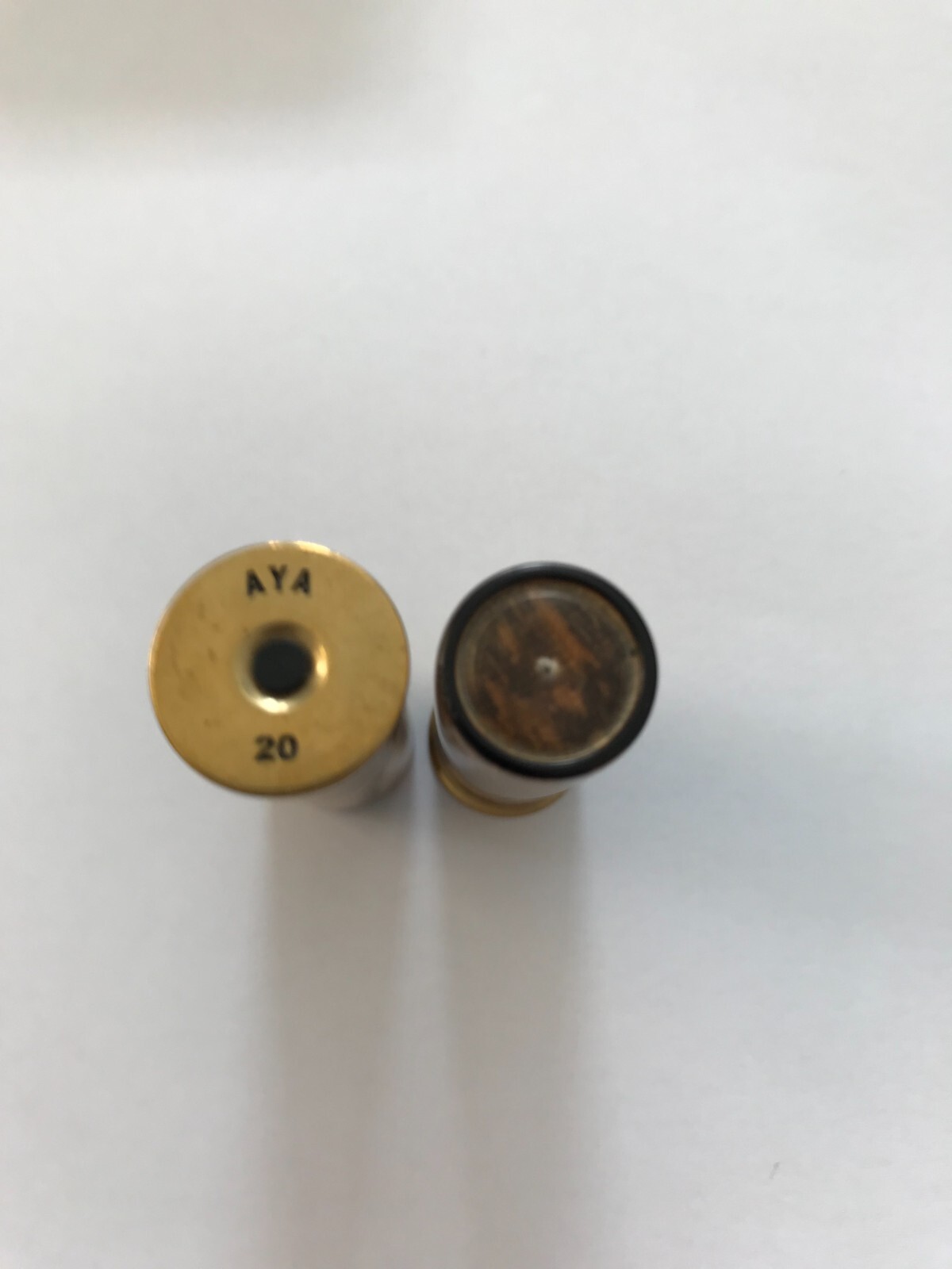 High Class Quality 20 gauge snap caps (AYA) Shotgun Logo (Spalted Box