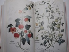 Leonhart Fuchs Kr&auml;uterbuch Kolorierte Gesamtausgabe farbig Kr&auml;uter Handbuch engl