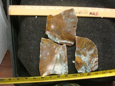 maury mountain moss 2 end cuts 1 slab polished on the face