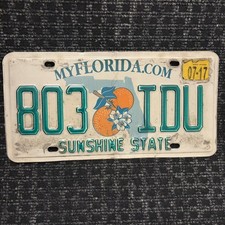 Original US Auto Kennzeichen Nummernschild USA 🇺🇸 Florida Sunshine State