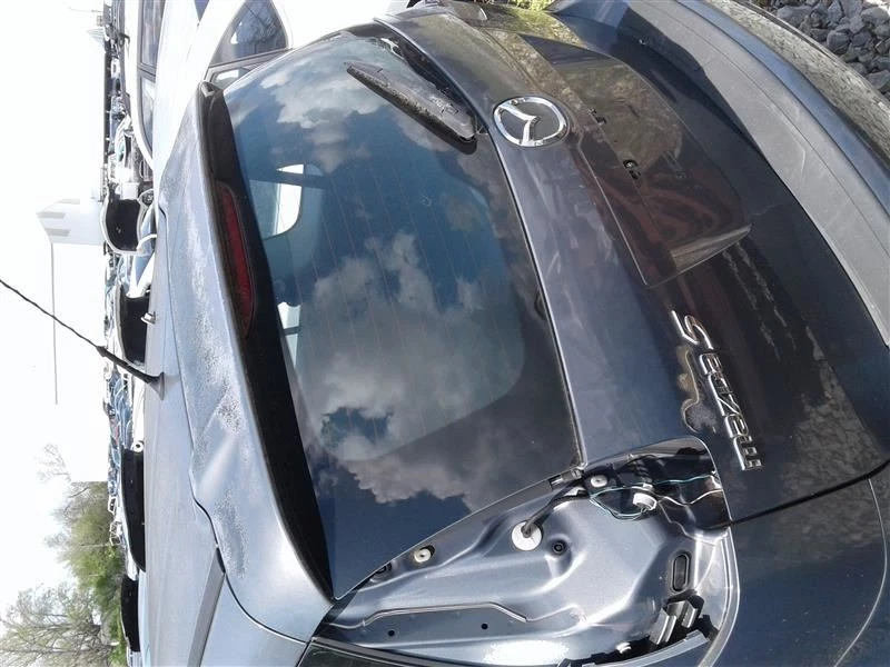 (LOCAL PICKUP ONLY) Trunk/Hatch/Tailgate With Spoiler Fits 06-10 MAZDA 5 268915 Foto 3 de 4