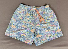 CHUBBIES Men's Swim Trunks Medium 5.5" Pastel Dinosaur Print Lined