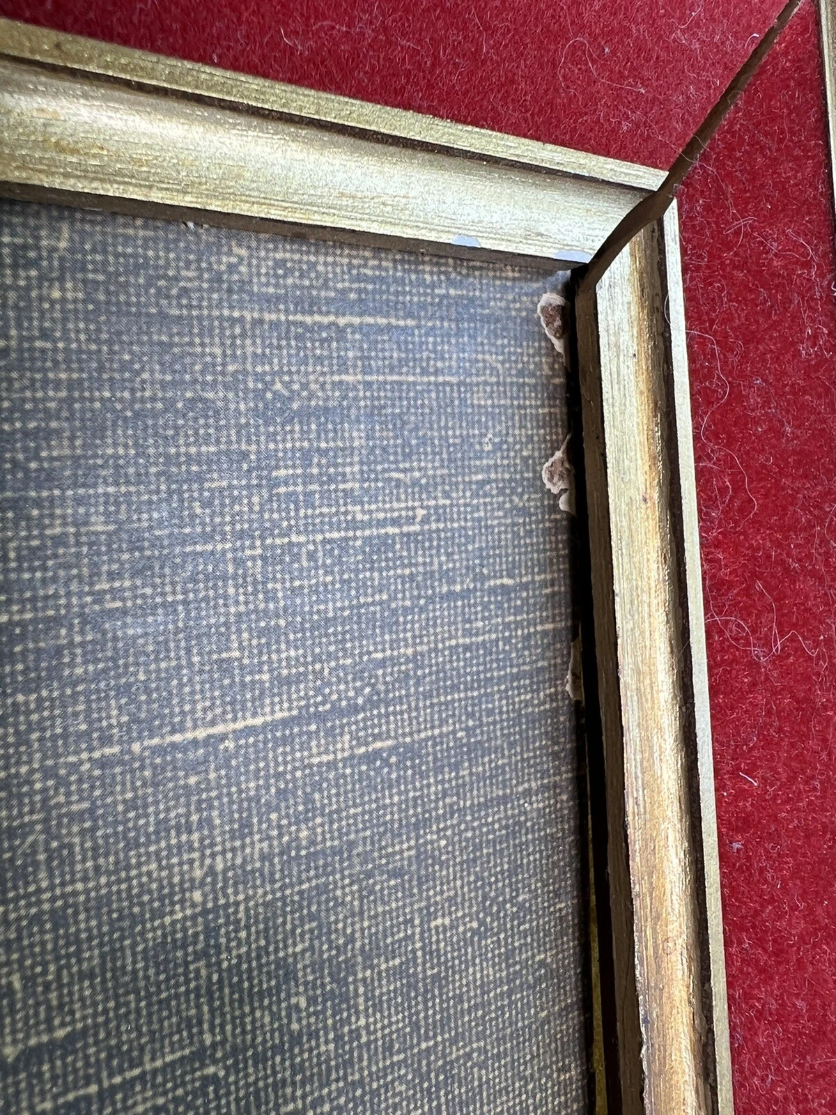 Picture 9 of 12