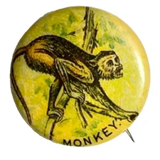 MONKEY 1890s Pepsin Gum 7/8 " Celluloid Pinback Button