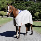 Capriole Wool Collar Check Winter Horse Rug - Collorcheck Underrugs