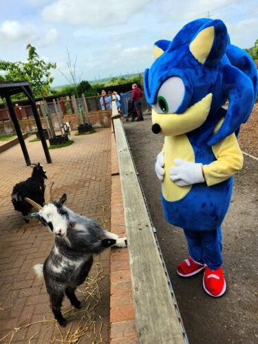 Mascots Of Cheshire - Picture 10 of 24