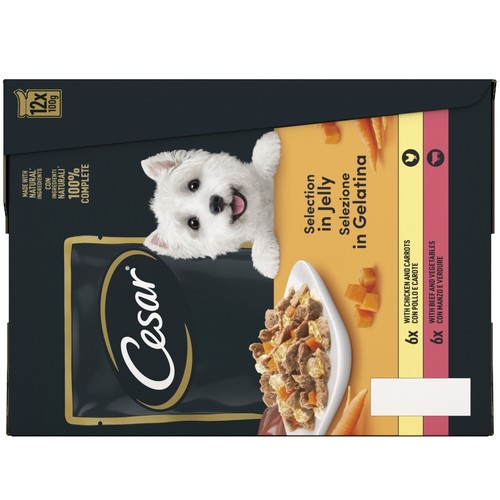 48 x 100g Cesar Deliciously Fresh Adult Wet Dog Food Pouches Mixed in