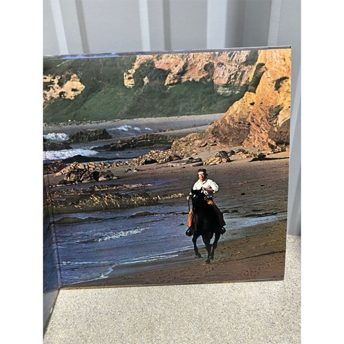 John Denver Windsong LP Vinyl Record Album 33RPM 1975 Folk Rock RCA Victor - Foto 5 di 6