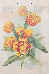 Antique 1899 Frances Walker Calendar Print Tulips
