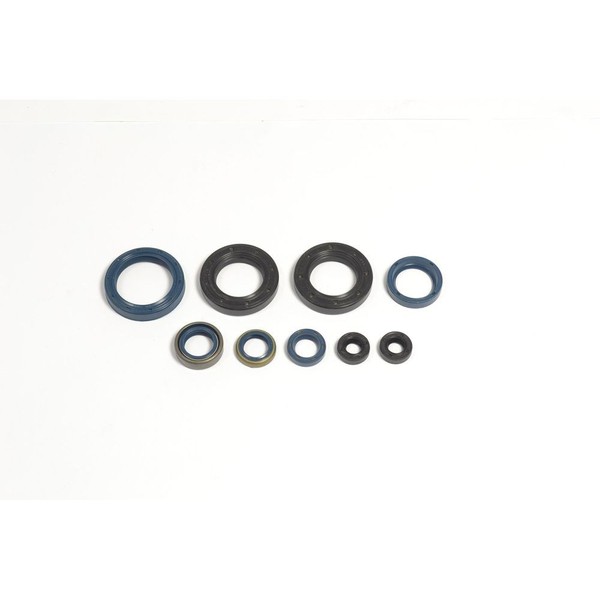 Parolio Motor Husquarna 250WRK-WXE 89/91 FüR Husqvarna WXE 250 1990-image