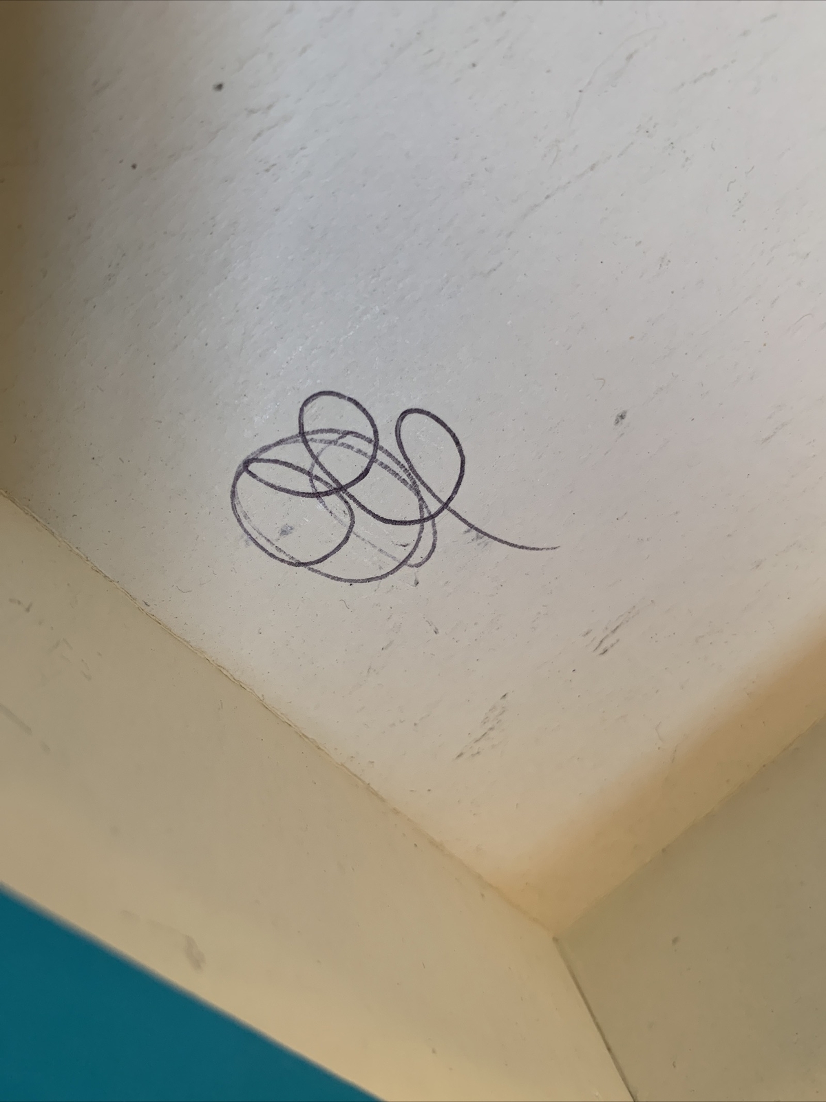 Foto 7 di 12