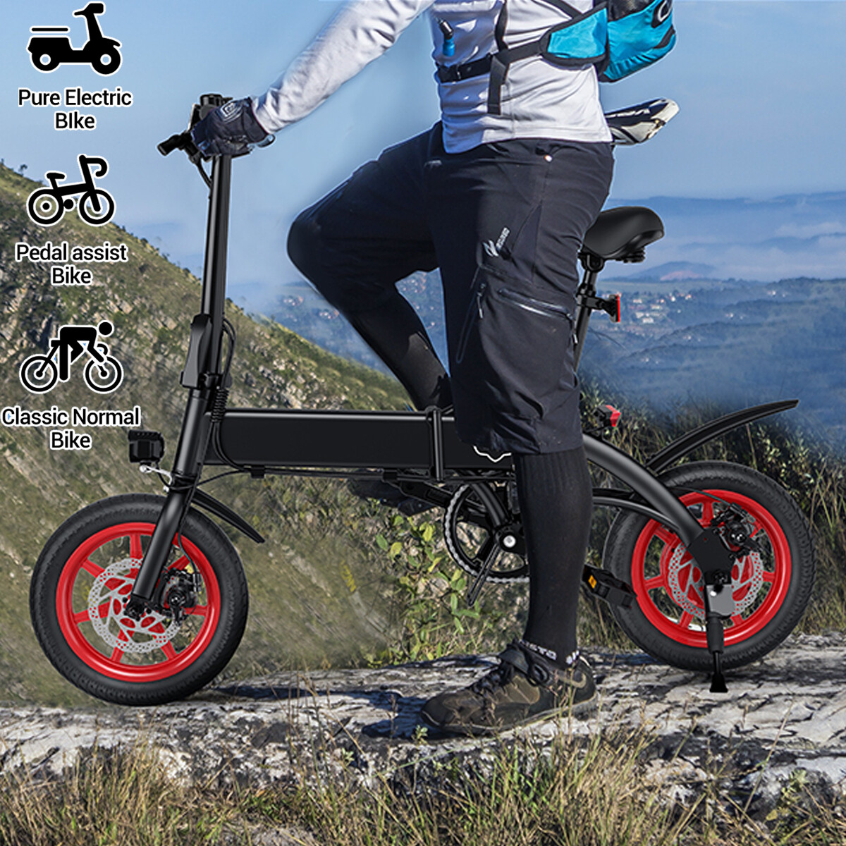Fiido Ebike Fiido D1 Electric Folding Bike 350W 14