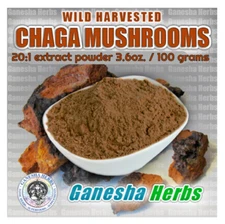100% pure Organic CHAGA mushroom High Potency dual extract powder 100 grams