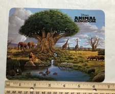 Oversized Postcard - Disney's Animal Kingdom