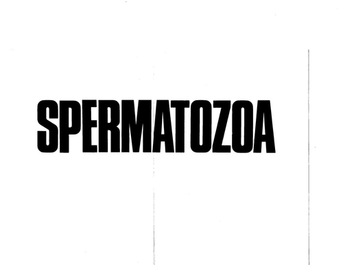 I'm Really into It... (Heart) SPERMATOZOA 5x7" Valentines card TNT. Designs 1980 - Picture 2 of 3