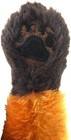 Bild 12 von 21
