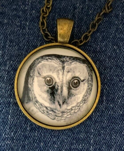 Owl Vintage looking Bronze tone Necklace Chain Glass Domed Pendant 1" - Picture 2 of 3