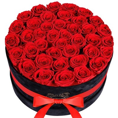 40 Pieces Preserved Roses in Suede Box Flowers for Mothers Day, Gift Women, Red