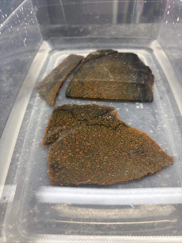 Agatized Dinosaur Bone Slab ~ Gem Agate Dino Bone Slab Quality Translucent - Image 2 of 4