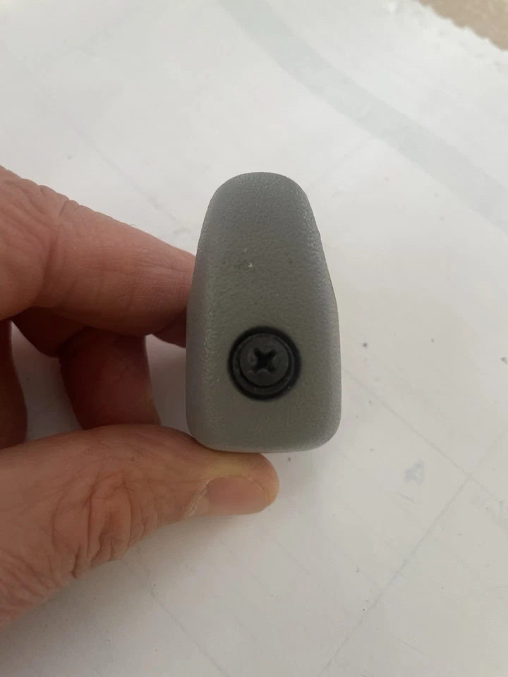 Ford F250 F350 F450 Excursion 1999-2007 techo trasero gancho de revestimiento (1) tornillo gris Foto 3 de 3