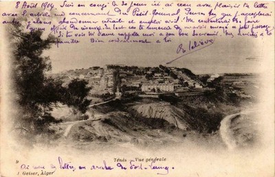 CPA ALGERIA Geiser 9 TENES Vue Generale (756175)