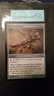 1 x Gnarled Effigy - Foil - Shadowmoor - LP - Magic The Gathering - MTG