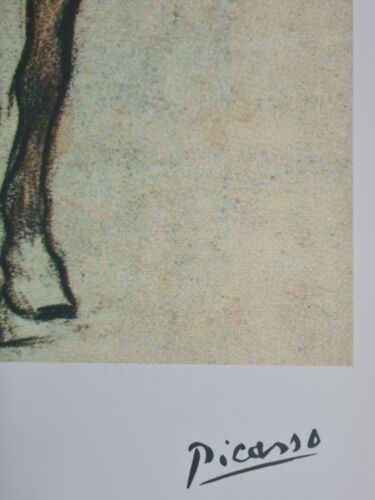 PABLO PICASSO * Horse with...*28 x 38 cm * signed lithograph * limited # xx/250 - Bild 6 von 8