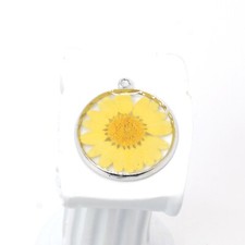 4PCS Silver Tone Real Dry Daisy Flower Resin Round 30mm Charm Pendant GBY1024