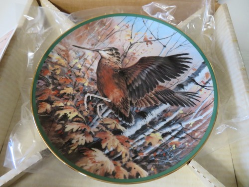 Woodcock Teller Nordamerikanisches Spiel Vögel Nature's Upland Jim Killen