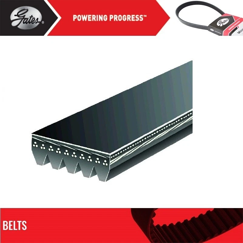 Ремень GATES OE Micro-V для 1997-1999 MITSUBISHI MIRAGE L4-1,5 л - Изображение 2 из 4