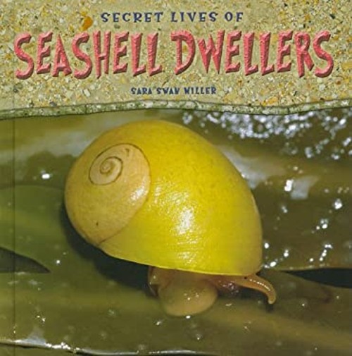 Secret Lives of Seashell Dwellers Hardcover Sara Swan MillerFree US Delivery | ISBN:0761442286