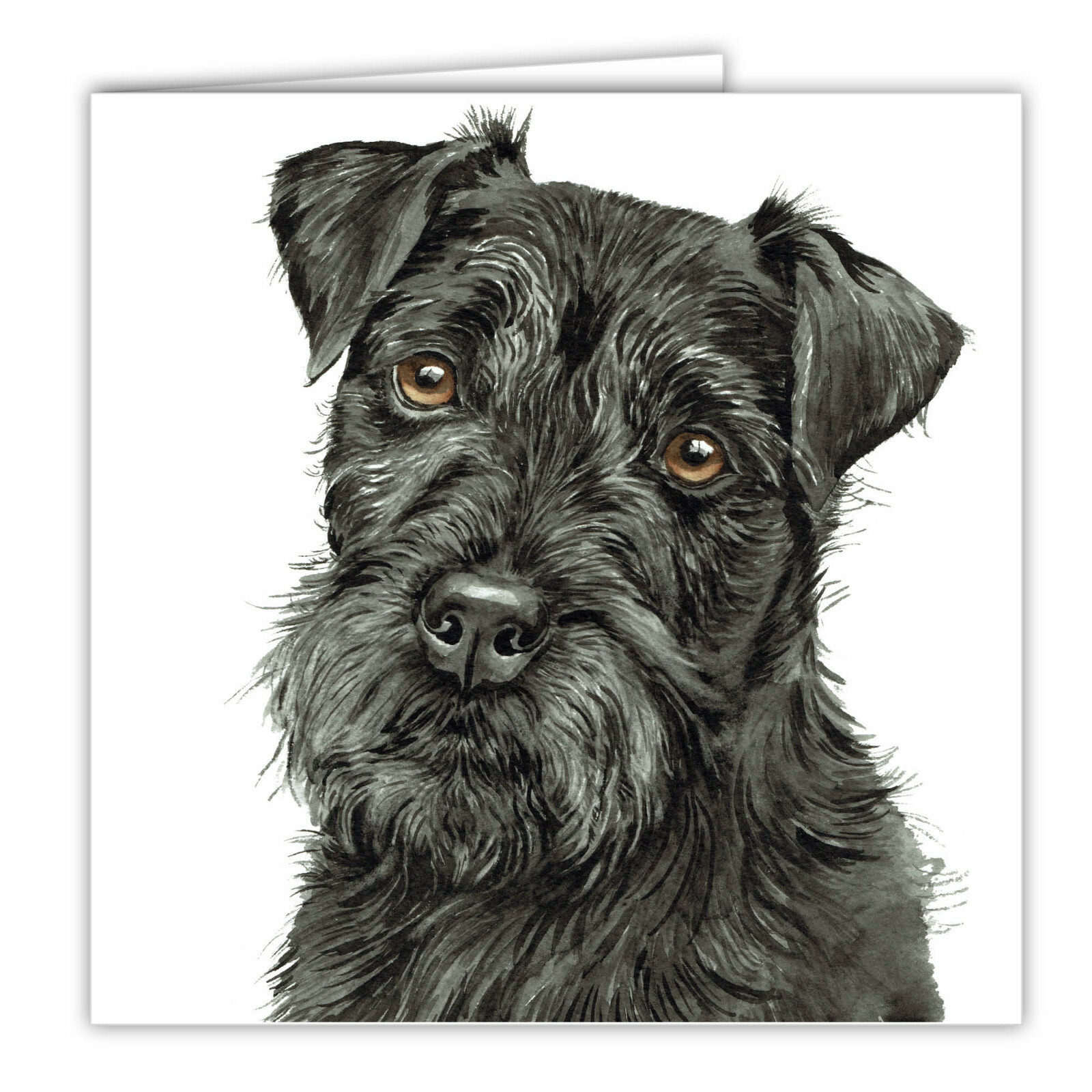 Patterdale Terrier greetings card dog blank card dogs Patterdales Terriers cards