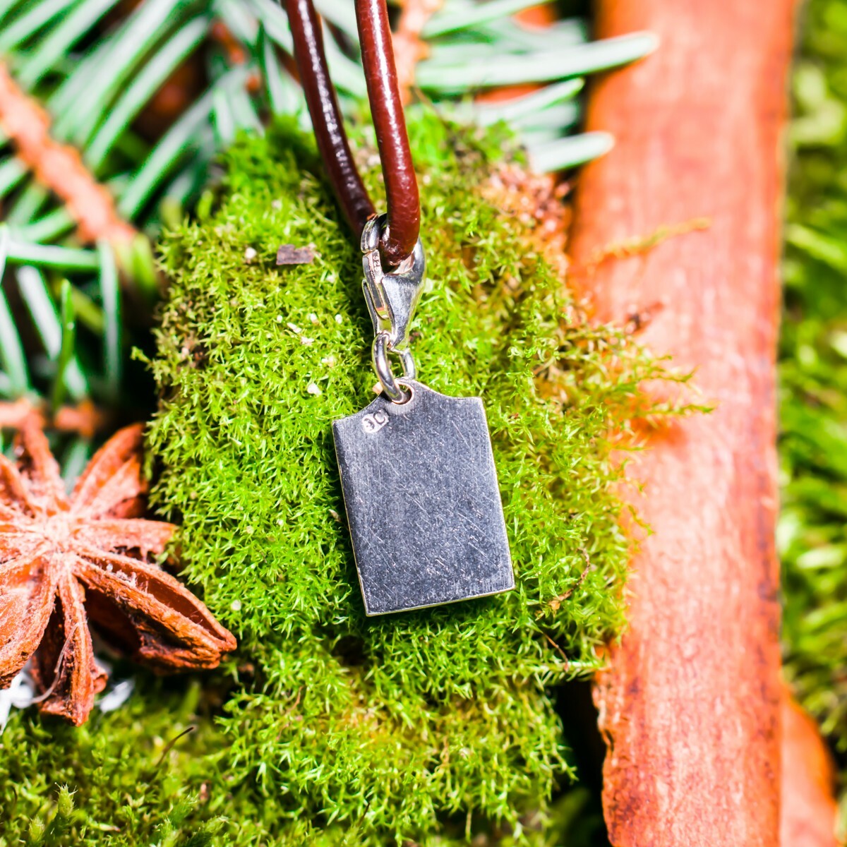 Produktbild von Bronzeanhänger - Rune Aus 925er Sterling Silber - Fehu / Feon - Schmu