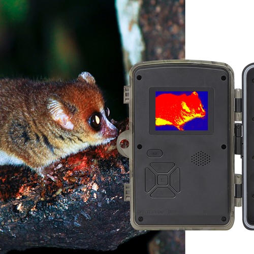 Cámaras detectoras de movimiento para exteriores para animales animales cámara con sensor de movimiento - Imagen 6 de 21