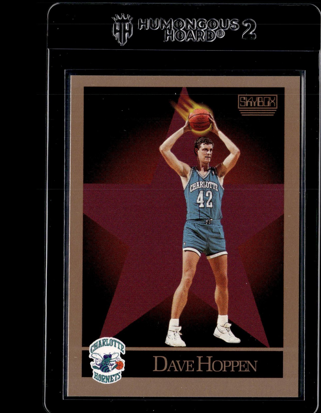 1990-91 SkyBox #31 Dave Hoppen