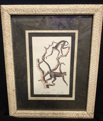 Vintage Karl Joseph Brodtmann Spider Monkey Art Print Framed Cedar Creek Decor