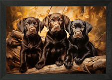 Chocolate labrador puppies Framed Wall Art Poster Canvas Print Picture