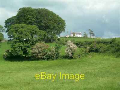 Photo 6x4 Whitehill Farm Dailly Viewed in early June on a bright and bre c2008