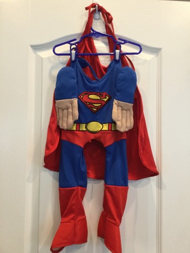 Justice League Dog Superman Costume Size Large with Cape F1 - Picture 1 of 12