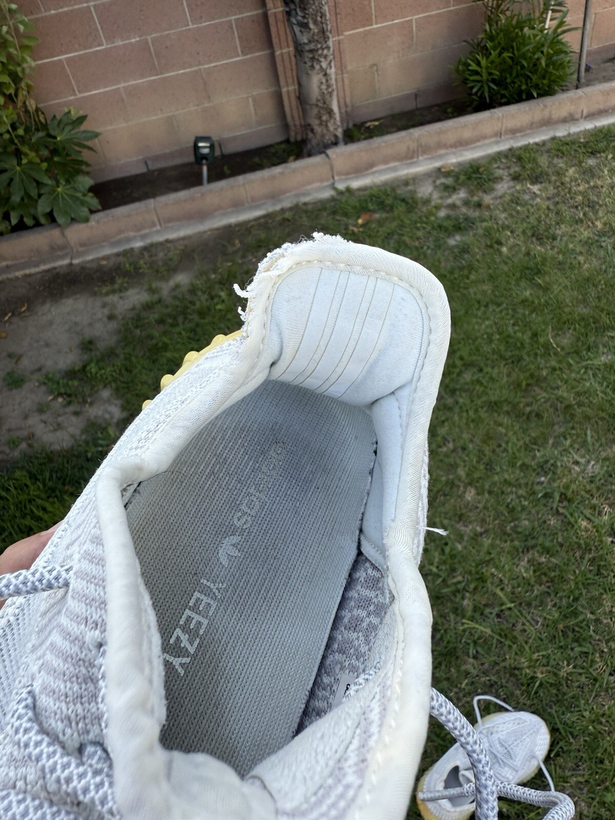 Bild 24 von 24