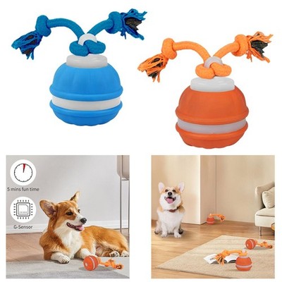 Cat Dog Interactive Toys Pet Ball Motion Activated Bite Resistant Dog Chewing