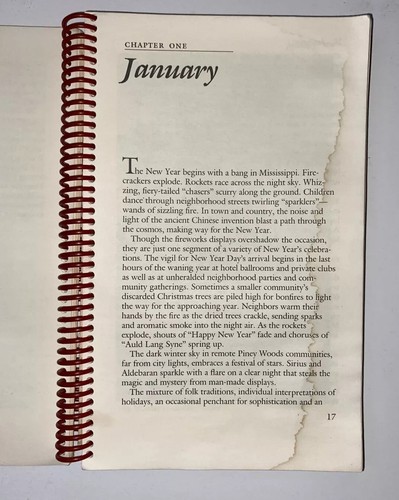 A Guide to Mississippi's Festivals, Fairs, and Flea Markets by Mary Ann Wells - Picture 6 of 12