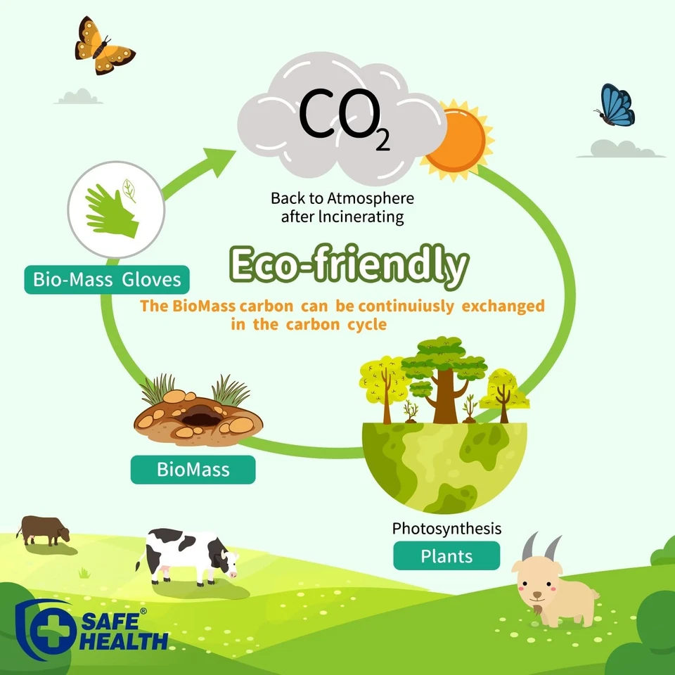 安全健康生物质环保乙烯基一次性手套,美国农业部认证生物... — 第 2/4 张图片