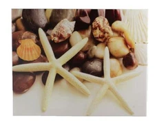 20" Starfish Stretched Canvas Print - Sea shell Nautical Hanging Wall Decor