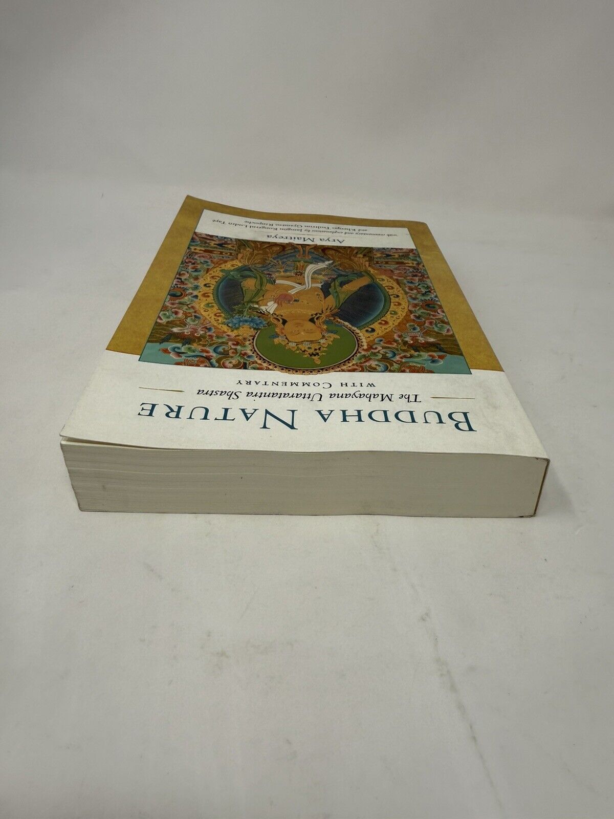 Picture 4 of 7