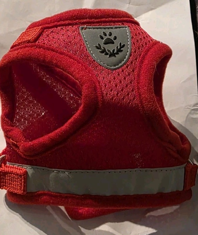 Cat Harness And Leash