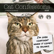 Carousel Calendars,  Cat Shaming 2026 Wall Calendar, 12'' X 12'', 16-Month Calen