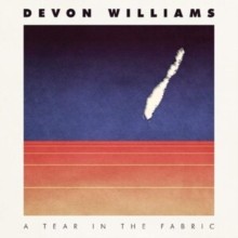 WILLIAMS DEVON - A TEAR IN THE FABRIC - CD - G3z