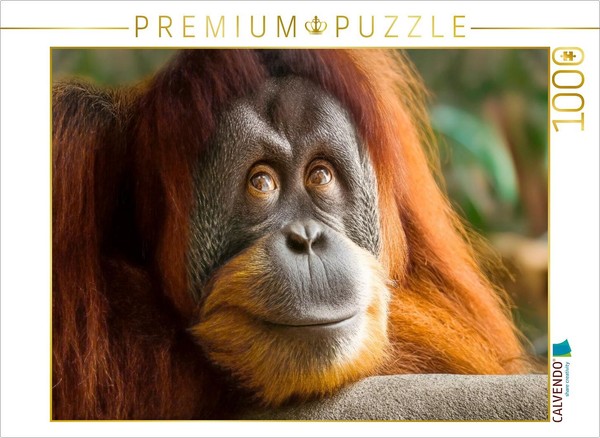 Puzzle Calvendo Un Beau Moment - Calme Et Satisfaction | 1000 PièCes, Format Ass-image